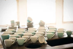 Vintage Nature - Kaffeetassen Set 8-tlg - bunt